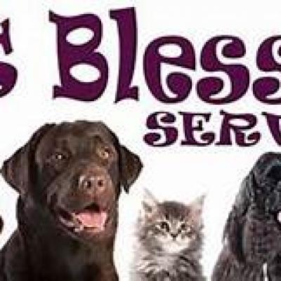 pet service