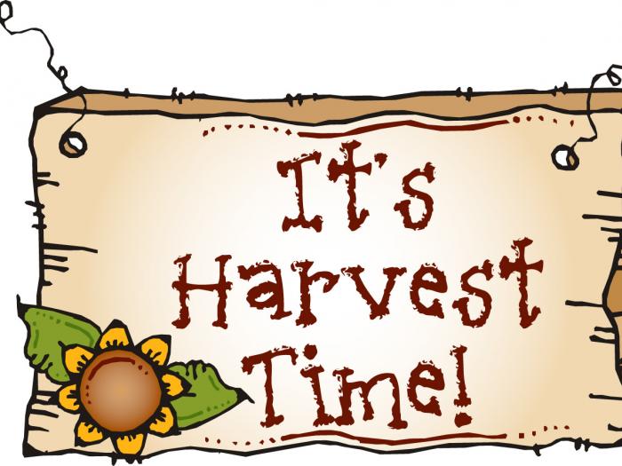Harvest 2017-docx