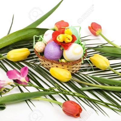 PalmsAndEggs