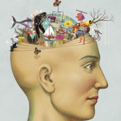 brain_memories